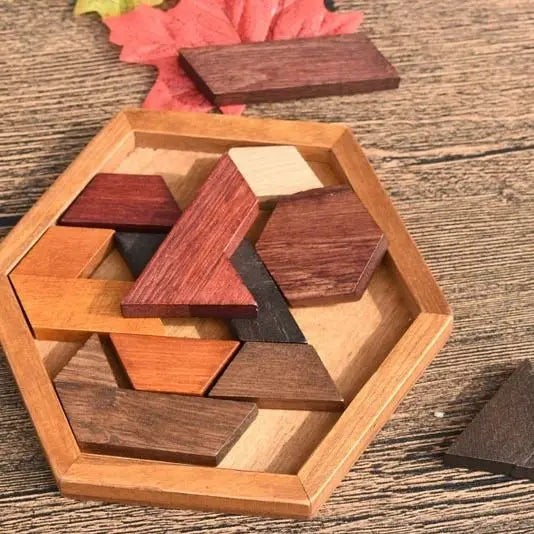 Wooden Geometric Jigsaw Brain Teaser