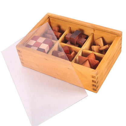 ActivePlaythings IQ brain teaser game with wooden puzzles in a storage box for mental challenges